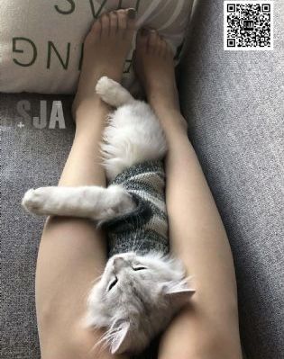 91视频在线观看大全