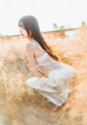 月光宝盒视频免费观看完整版