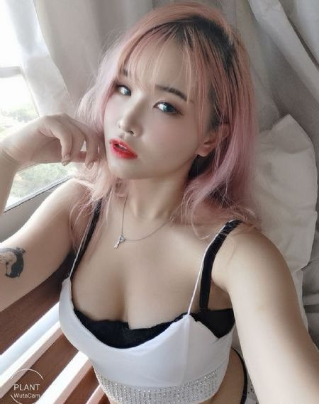 幽游白书动漫