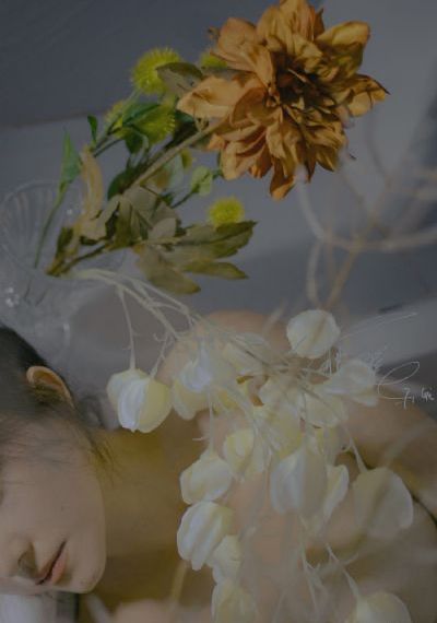 花好月圆电视剧