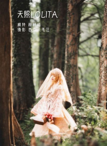 红星闪闪电影完整版免费观看