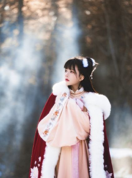 雪中悍刀行第二部免费看
