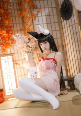 女豹电影