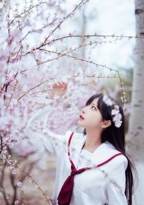 一生一世电视剧